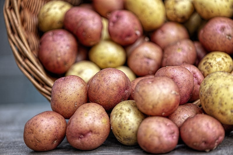 Preserving Harvested Vegetables