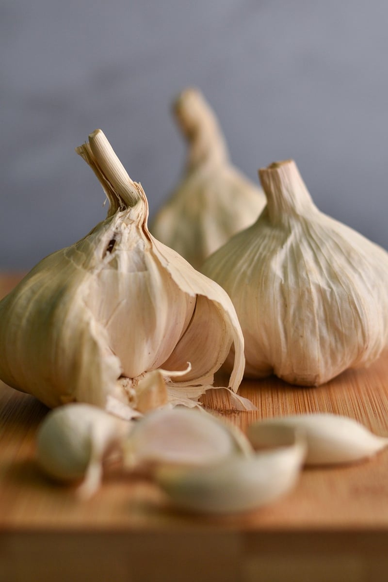 Garlic